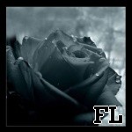 Avatar de l’utilisateur-trice